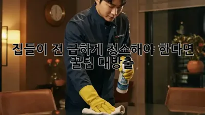 집들이 전 급하게 청소해야 한다면? 꿀팁 대방출! ✨